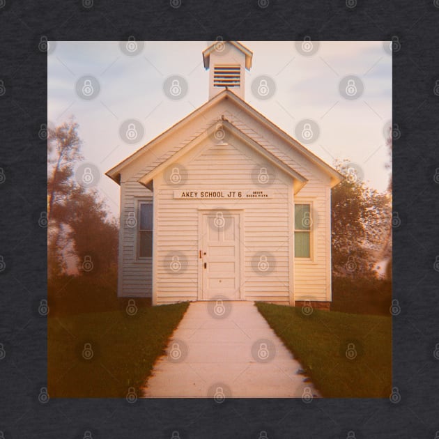 Wisconsin Rural Schoolhouse - Lomography Medium Format Diana F+ by ztrnorge